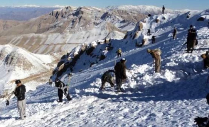 موج سواری روی کشتی شکسته کولبران!/