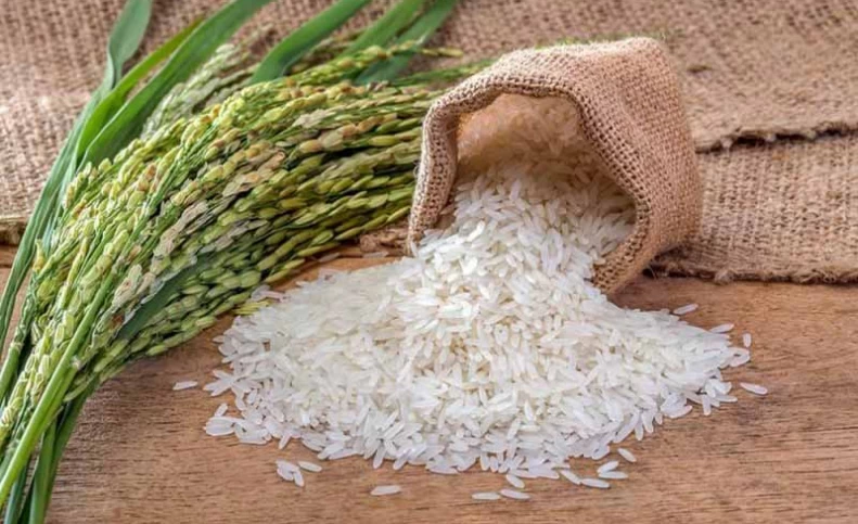 ممنوعیت فصلی واردات برنج برداشته شد/ تا اطمینان کامل از تخصیص ارز، واردت نمی‌کنیم
