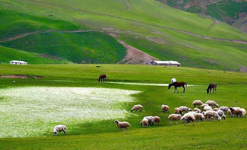 مقصدی رویایی در ایران برای سفر در خردادماه! + تصاویر