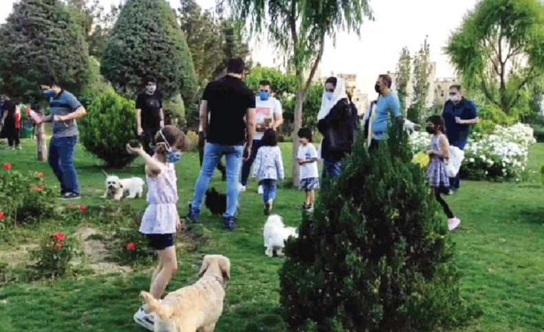 شورای شهر تهران تصویب کرد سگ‌گردانی در پارک‌ها محدود شد