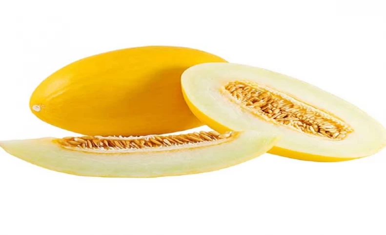 حقایق شگفت انگیز درباره ملون طلایی و فوایدش