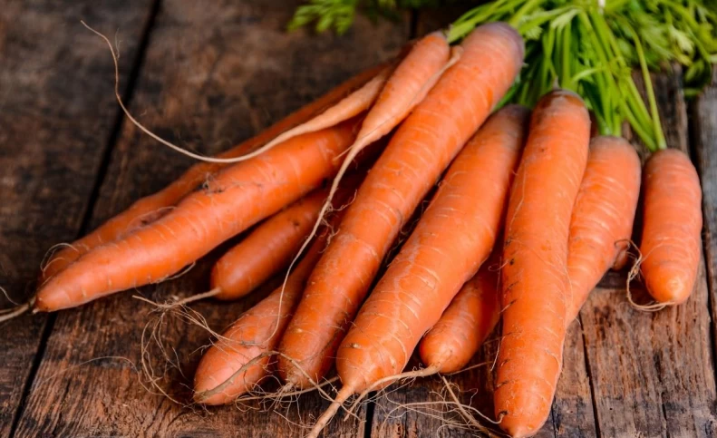 قیمت هویج باز هم گران شد/ مغازه داران کم سود می کنند