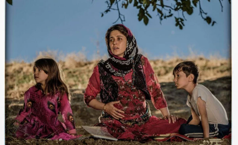 «درخت گردو» با ستاره‌هایش جای «دینامیت» را می‌گیرد؟