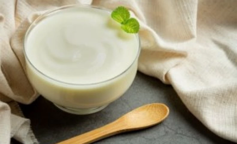10 کاربرد ماست در آشپزی حرفه ای