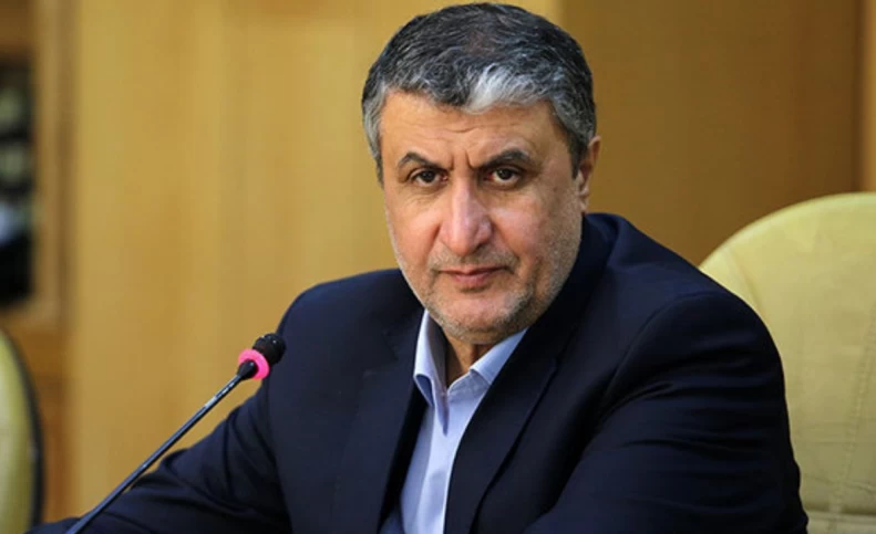 رییس سازمان انرژی اتمی وارد وین شد