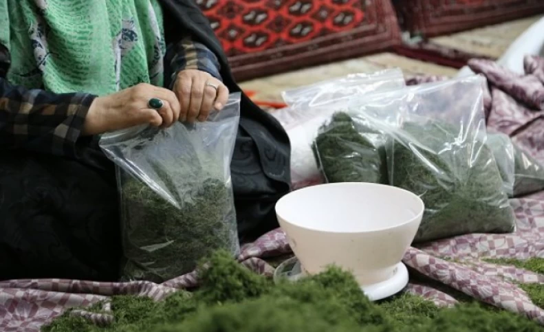 چگونه به‌عنوان یک زن خانه‌دار کسب درآمد کنیم؟