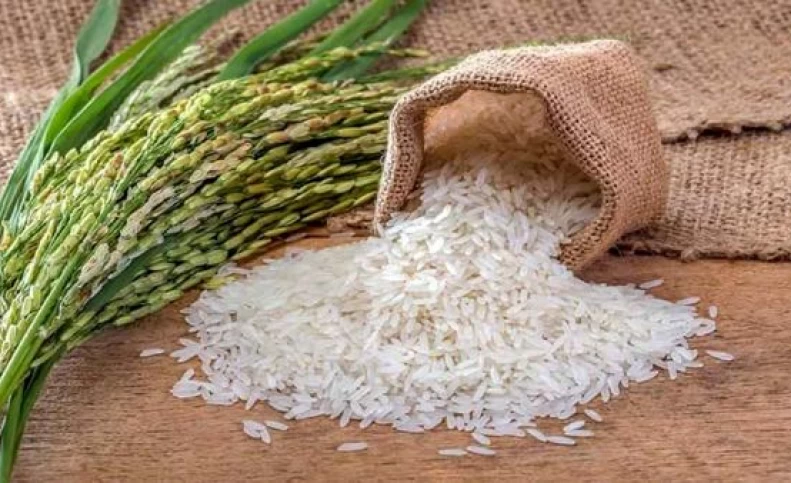 برنج ارزان شد