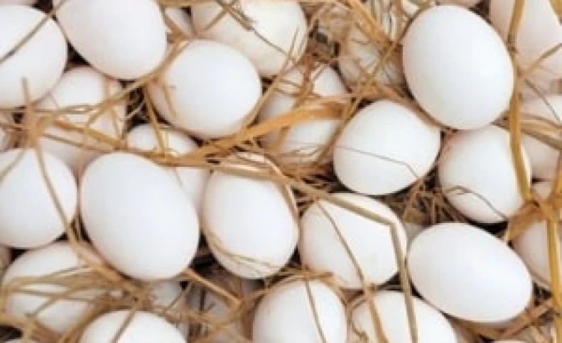 هیچ وقت تخم مرغ رو این قسمت یخچال نذارید