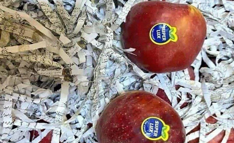 هتک حرمت به قرآن در بین میوه های صادراتی!