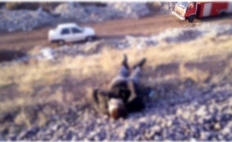 کشف جسد مرد کنار ریل آهن در شهر پرند