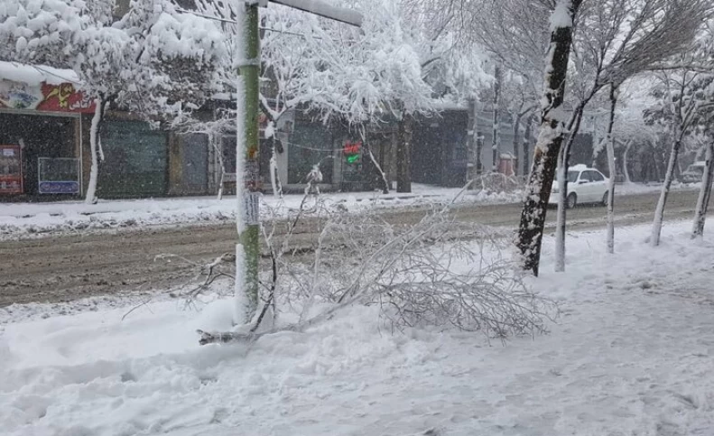 بارش برف و باران در نیمه شمالی کشور