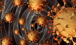 XBB51 جدیدترین سویه کووید19 / احتمال افزایش مجدد آمار مبتلایان