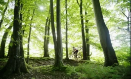 پیشگیری از سرطان و فشار خون؛ به این توصیه‌ها درست عمل کنید!