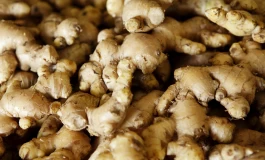 همه چیز‌هایی که باید در مورد نگهداری زنجبیل بدانید