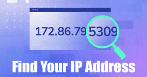 Find Your IP Address
